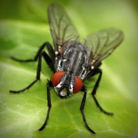 /album/m-amp-m/photolia-a01-jpg/