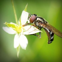 /album/m-amp-m/photolia-a02-jpg/