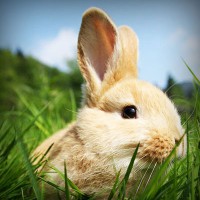 /album/m-amp-m/photolia-a03-jpg/