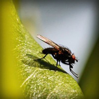 /album/m-amp-m/photolia-a04-jpg/