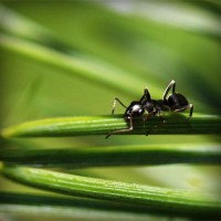 /album/m-amp-m/photolia-a05-jpg/