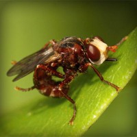 /album/m-amp-m/photolia-a06-jpg/