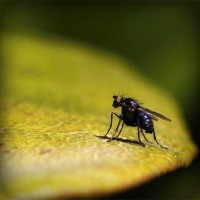 /album/m-amp-m/photolia-a07-jpg/