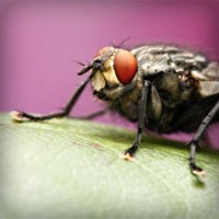 /album/m-amp-m/photolia-a08-jpg/